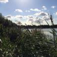 IMG 0627