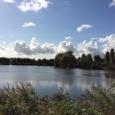 IMG 0632