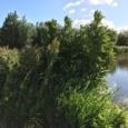 IMG 0639