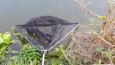 20151025 130346 (Small)