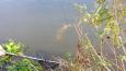 20151025 130813 (Small)