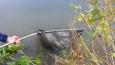 20151025 130815 (Small)