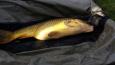 20151025 131010 (Small)