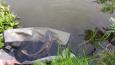 20151025 131351 (Small)
