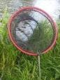 20130603 190120 (Small)