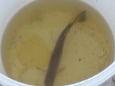 20130624 195744 (Small)