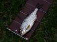 20130624 201625 (Small)