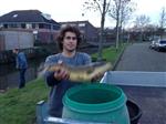 Tientallen vissen gered bij De Spin in Uitgeest!